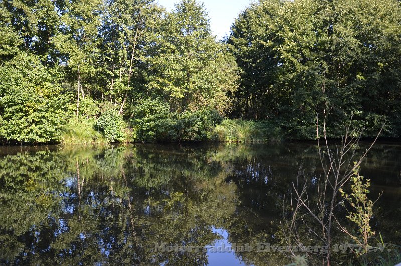 Schwarzwald 2021 - 003